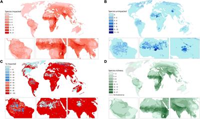 Human impacts on the world’s raptors
